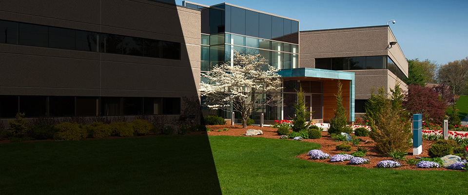 Lanoka Harbor Landscapers