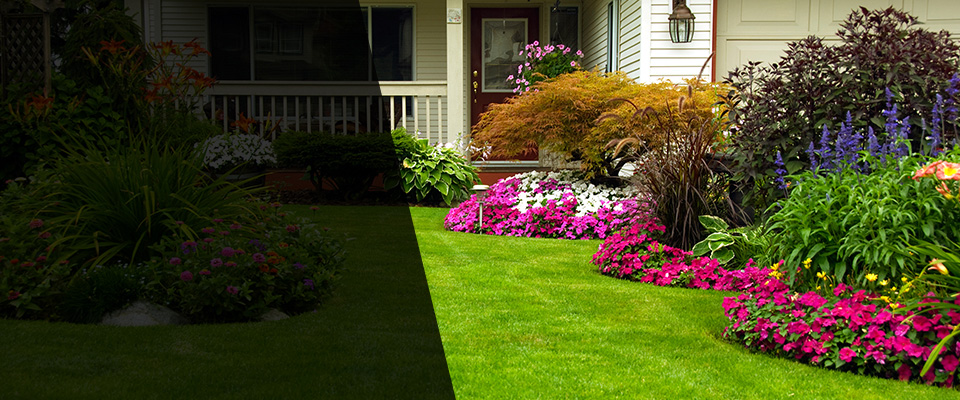 Lanoka Harbor Landscapers