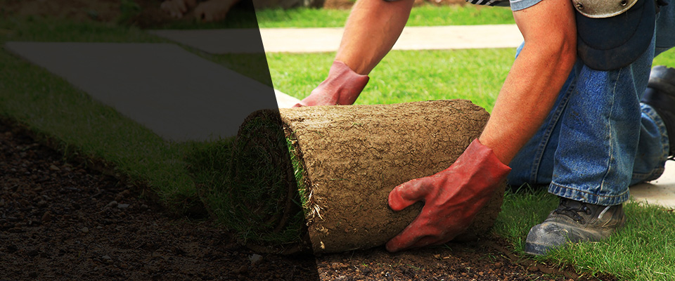 Lanoka Harbor Landscapers